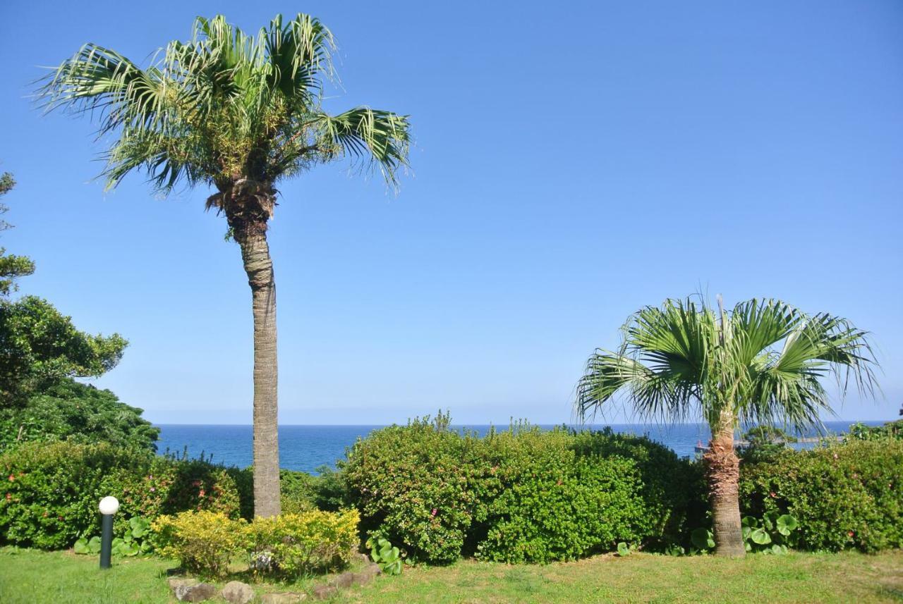 Yakushima Green Hotel Eksteriør billede